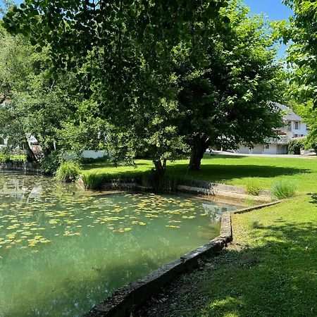 Les Lodges Du Lac Saint-Alban-de-Montbel Luaran gambar
