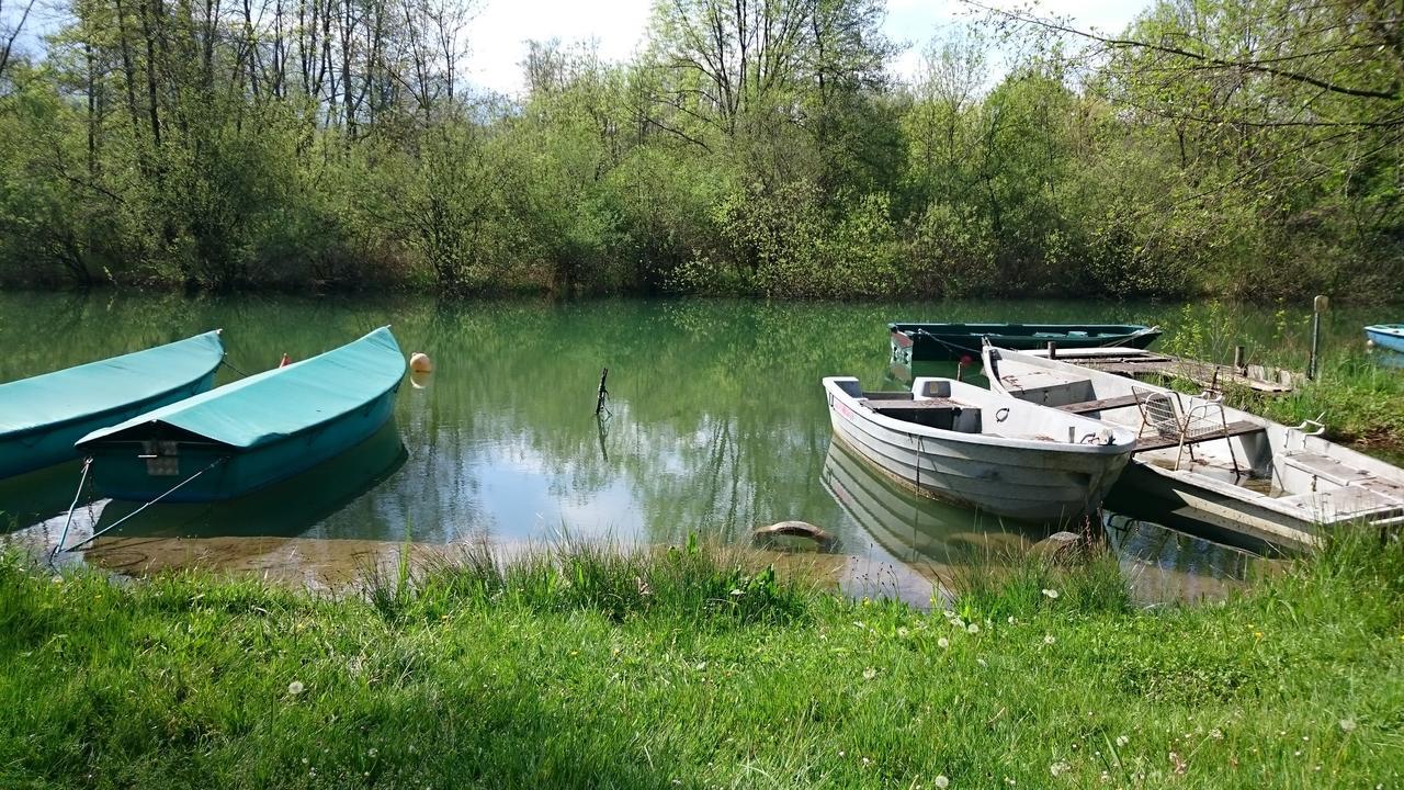 Les Lodges Du Lac Saint-Alban-de-Montbel Luaran gambar